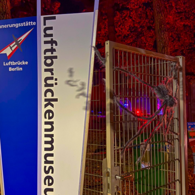 Groß (IMG_4164).jpeg