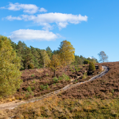 Groß (IMG_5114).jpeg