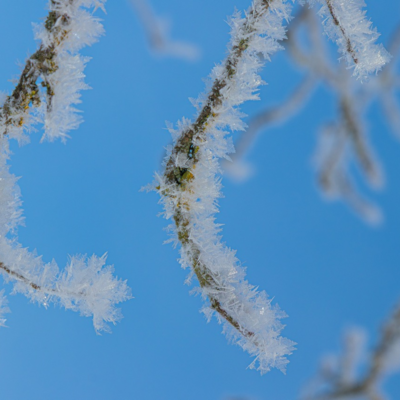Groß (260111_Schnee_am_Lönsstein_IMG_5423).jpeg