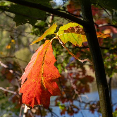 Groß (IMG_4964).jpeg