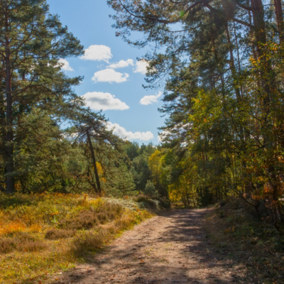 Groß (IMG_5089-Bearbeitet).jpeg