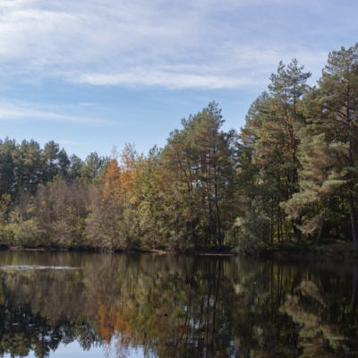 Groß (IMG_4963).jpeg