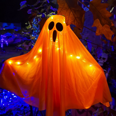 Groß (IMG_4163).jpeg