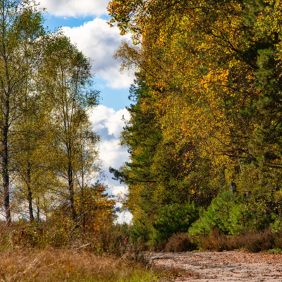 Groß (IMG_5105-Bearbeitet).jpeg