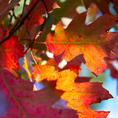 Groß (IMG_4969).jpeg