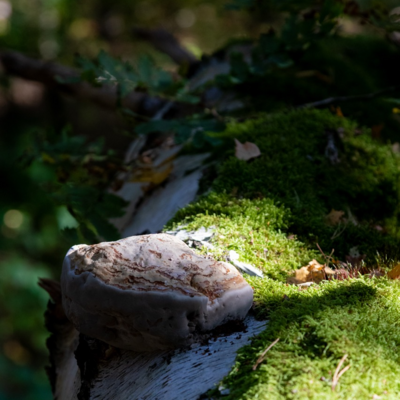 Groß (IMG_5056).jpeg