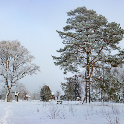 Groß (260111_Schnee_am_Lönsstein_IMG_5465).jpeg