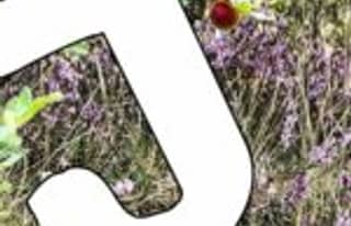 Artikelbild zu Faßberg - Spielplatz am Speier Wiki auf MoinHei.de
