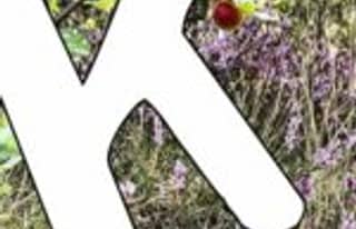 Artikelbild zu Kunst und Kultur auf MoinHei.de