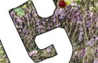 Artikelbild zu Post - Marktplatz & Gewerbe - MoinHei.de