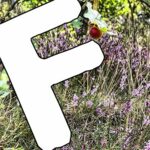 Fotos und Videos aus unserer Region